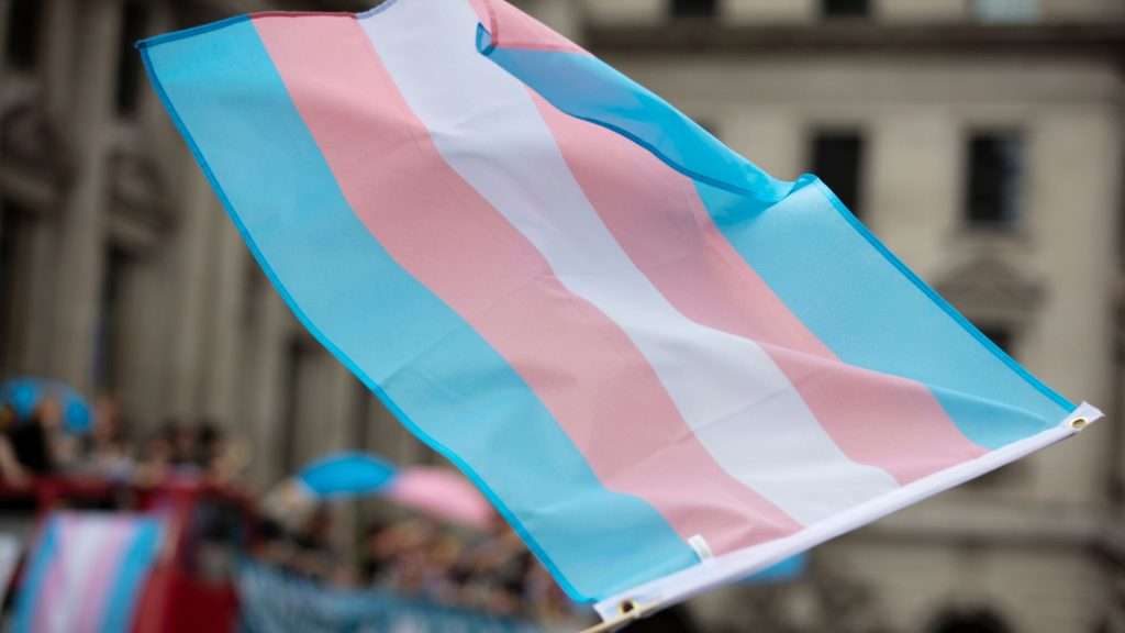 Close-up of the transgender pride flag waving at an outdoor event, with light blue, pink, and white stripes representing trans identity and pride.